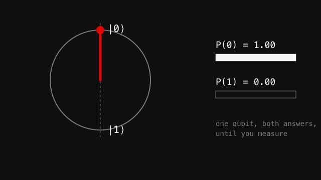 Animated state vector sweeping between the 0 and 1 states while probability bars shift between them